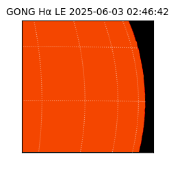 gong - 2025-06-03T02:46:42