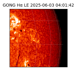gong - 2025-06-03T04:01:42