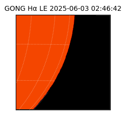gong - 2025-06-03T02:46:42