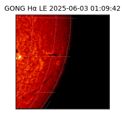 gong - 2025-06-03T01:09:42