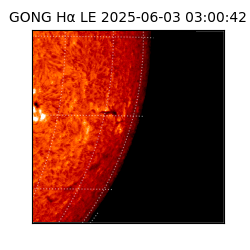 gong - 2025-06-03T03:00:42