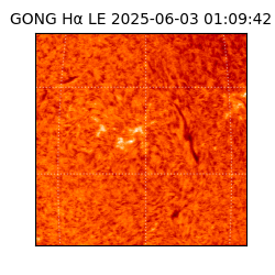 gong - 2025-06-03T01:09:42