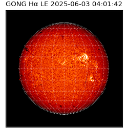 gong - 2025-06-03T04:01:42