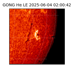 gong - 2025-06-04T02:00:42