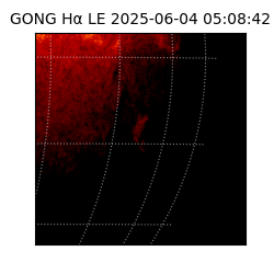 gong - 2025-06-04T05:08:42