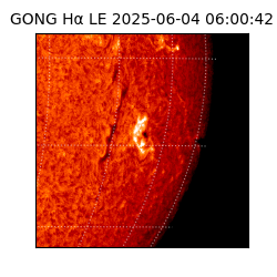gong - 2025-06-04T06:00:42