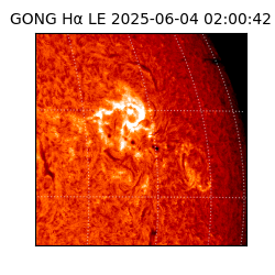 gong - 2025-06-04T02:00:42