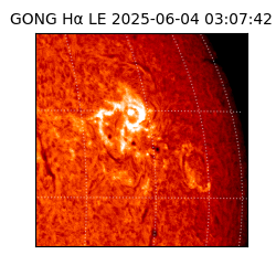gong - 2025-06-04T03:07:42