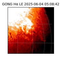 gong - 2025-06-04T05:08:42