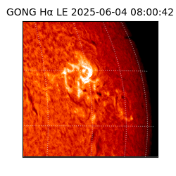 gong - 2025-06-04T08:00:42