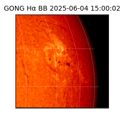 gong - 2025-06-04T15:00:02