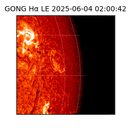 gong - 2025-06-04T02:00:42