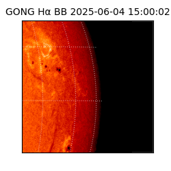 gong - 2025-06-04T15:00:02