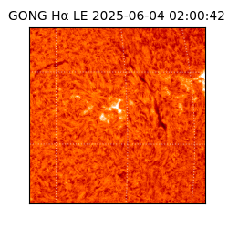 gong - 2025-06-04T02:00:42