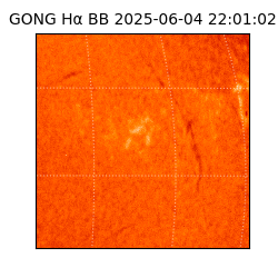 gong - 2025-06-04T22:01:02