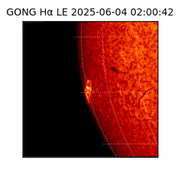 gong - 2025-06-04T02:00:42