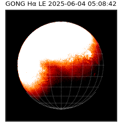 gong - 2025-06-04T05:08:42
