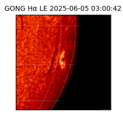 gong - 2025-06-05T03:00:42
