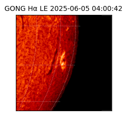 gong - 2025-06-05T04:00:42