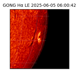 gong - 2025-06-05T06:00:42