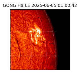 gong - 2025-06-05T01:00:42