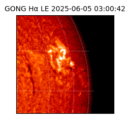 gong - 2025-06-05T03:00:42