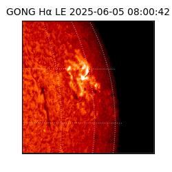 gong - 2025-06-05T08:00:42
