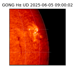 gong - 2025-06-05T09:00:02