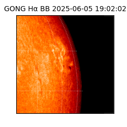 gong - 2025-06-05T19:02:02