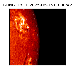 gong - 2025-06-05T03:00:42
