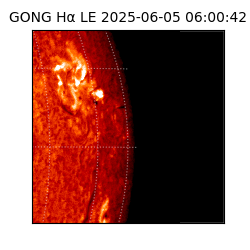 gong - 2025-06-05T06:00:42