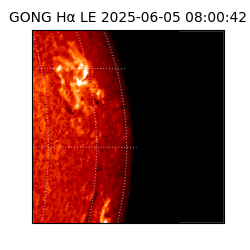 gong - 2025-06-05T08:00:42