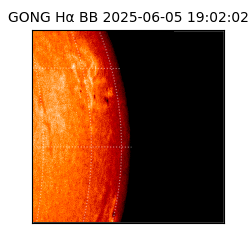 gong - 2025-06-05T19:02:02