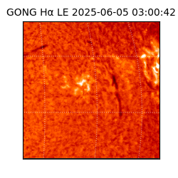 gong - 2025-06-05T03:00:42