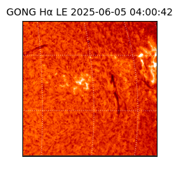 gong - 2025-06-05T04:00:42