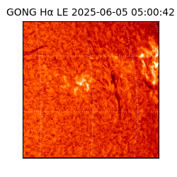 gong - 2025-06-05T05:00:42