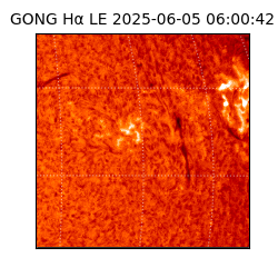 gong - 2025-06-05T06:00:42