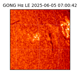 gong - 2025-06-05T07:00:42