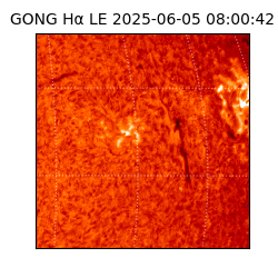 gong - 2025-06-05T08:00:42
