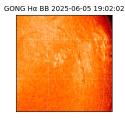 gong - 2025-06-05T19:02:02