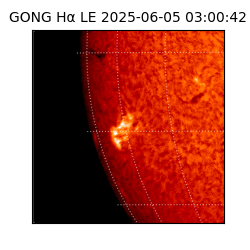 gong - 2025-06-05T03:00:42
