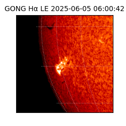 gong - 2025-06-05T06:00:42