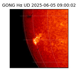 gong - 2025-06-05T09:00:02