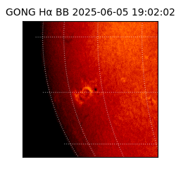 gong - 2025-06-05T19:02:02