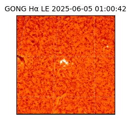 gong - 2025-06-05T01:00:42