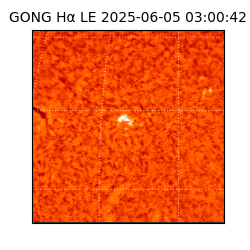 gong - 2025-06-05T03:00:42