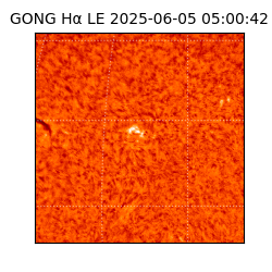 gong - 2025-06-05T05:00:42
