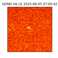 gong - 2025-06-05T07:00:42