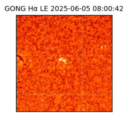 gong - 2025-06-05T08:00:42