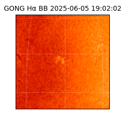 gong - 2025-06-05T19:02:02